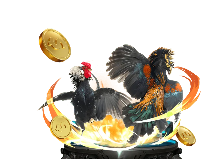 Cá Cược Có Trách Nhiệm VB777