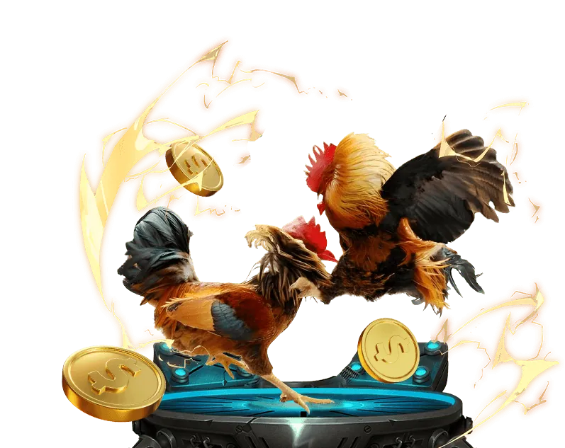 Cá cược trực tiếp vb777